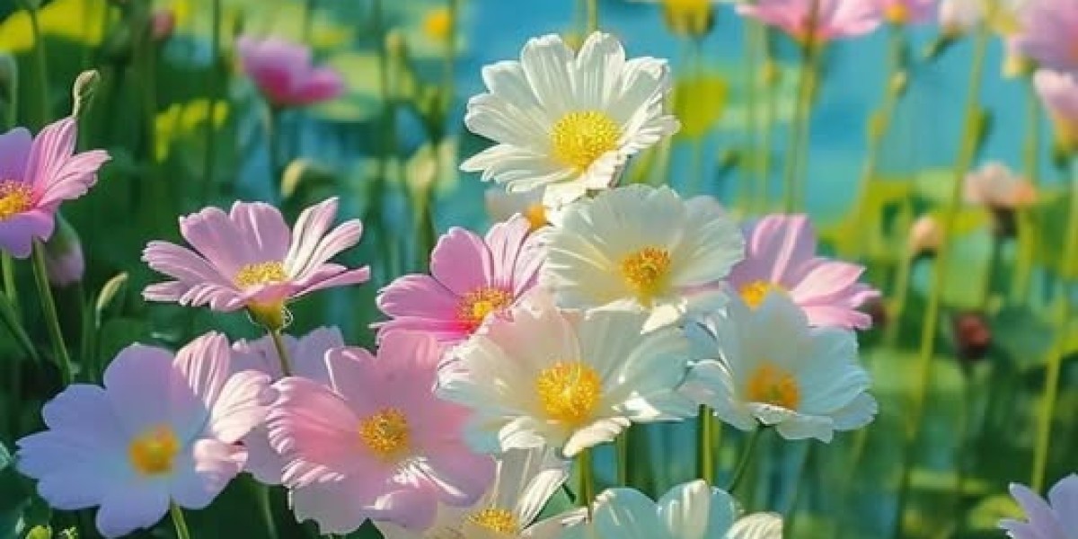 Denver Broncos Information