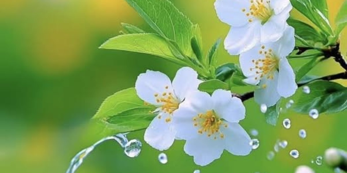 Poll: Which Houston Texans level community nevertheless requirements assistance?