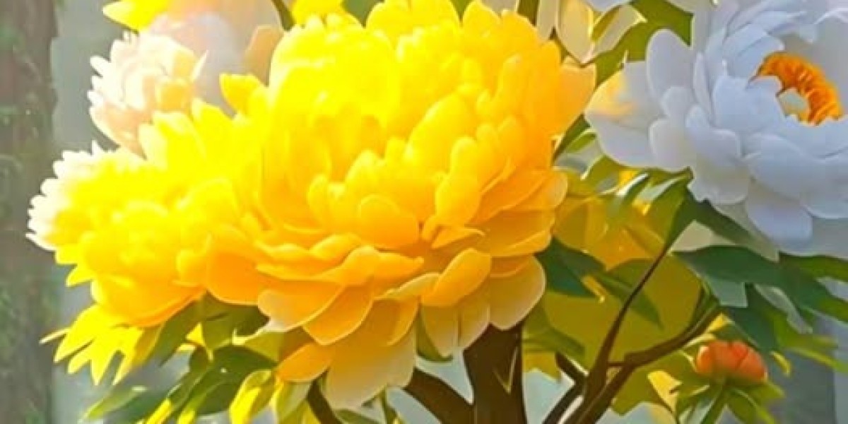 Aja Wilson Known as Western Convention Participant of the 7 days for 19th Period