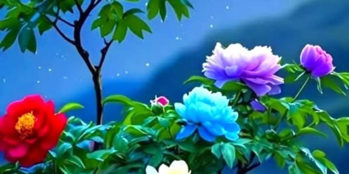 Jumbo Package: A Day of Party for Alabama Followers