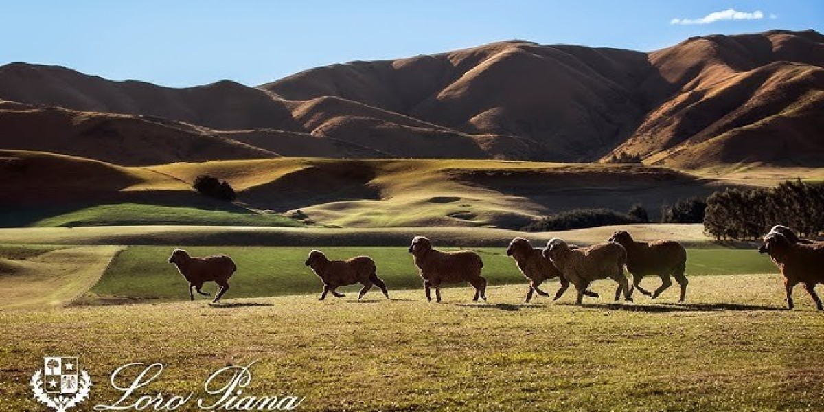Loro Piana Outlet also representative of generational and societal change