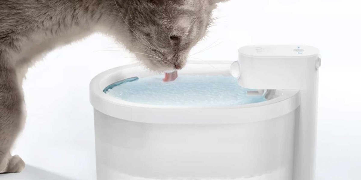Pawtechpet's Smart Water Dispensers: Convenience for Owners