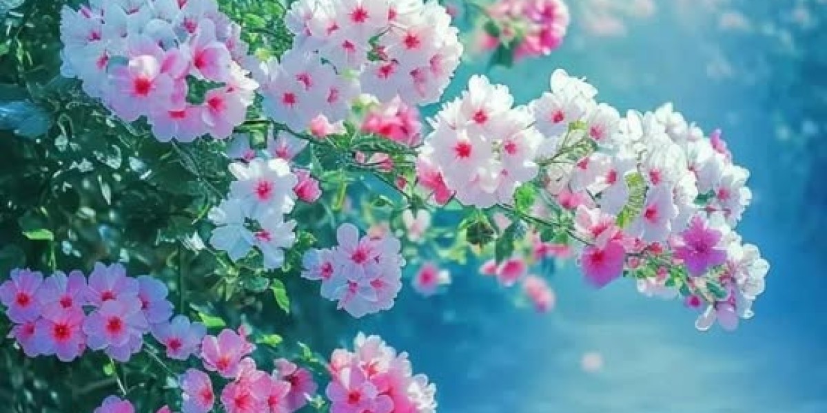 Anticipating the 'simplest' stretch of the 2025 Green Bay Packers routine